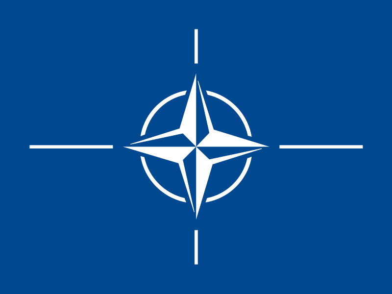 Nato Flag 36x72