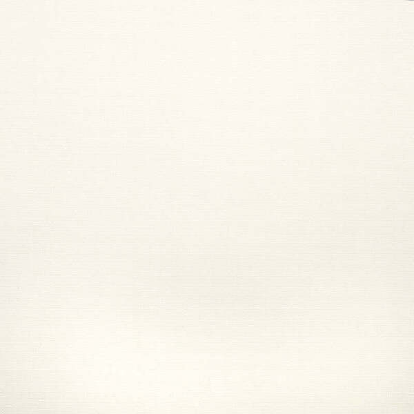 Sunbrella #6034 White 60"