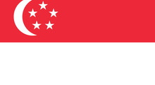 Singapore Flag 36x72