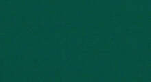 Sunbrella #6037 Forest Green 60"